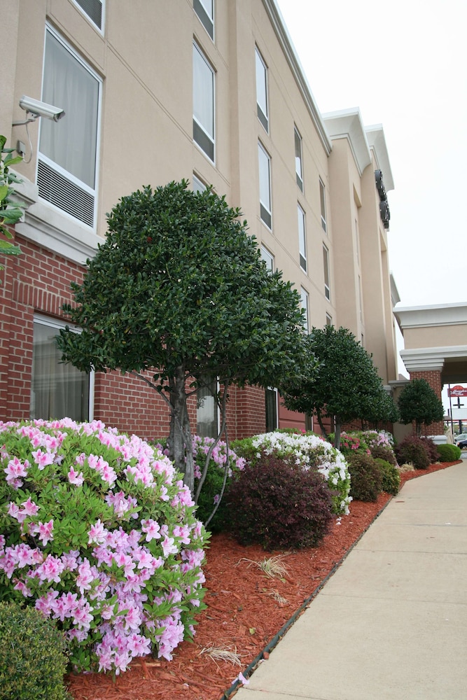 Hampton Inn Shreveport Airport - photo 97