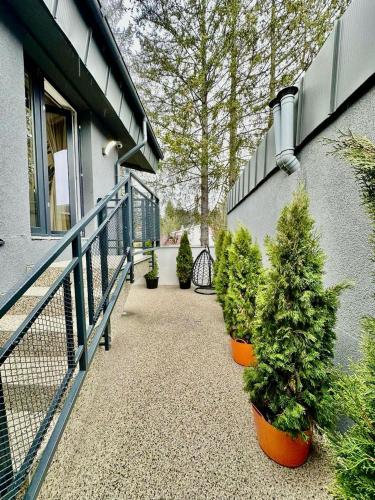 AYASI Luxury Apartment Predeal — 4-Star Luxury Hotel in Predeal, Romania