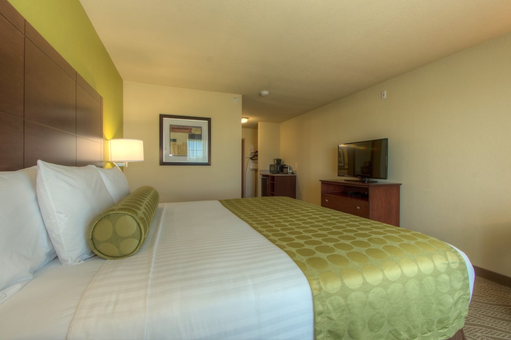 Cobblestone Inn and Suites Holyoke - photo 12