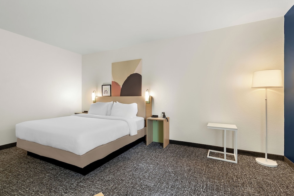 Spark by Hilton Missouri City - photo 11