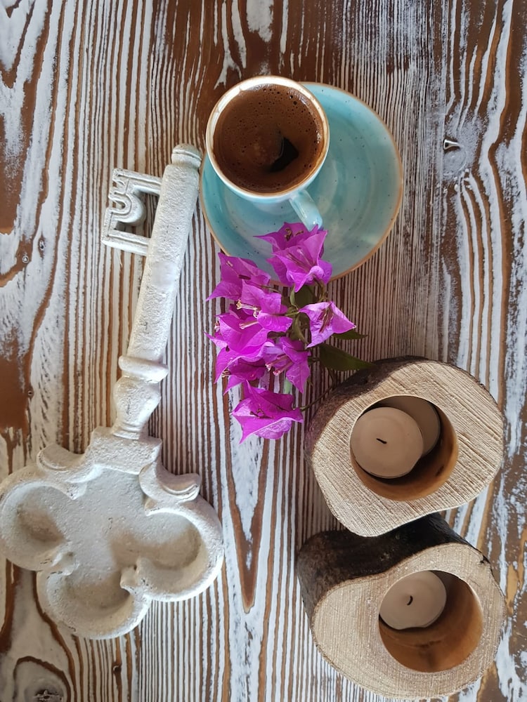 Vinifera Ephesus Hotel — Selcuk — photo 4
