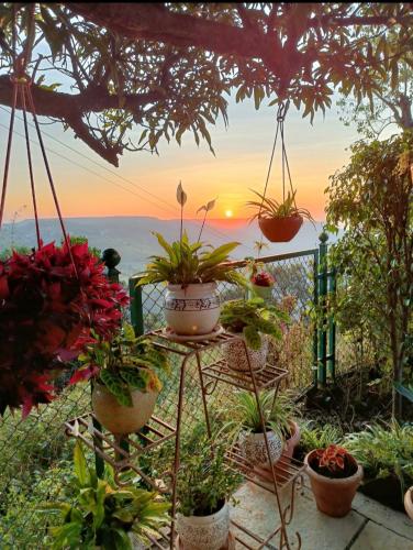 Gold Nest Valley View 3BHK Villa — 4-Star Luxury Hotel in Panchgani, India