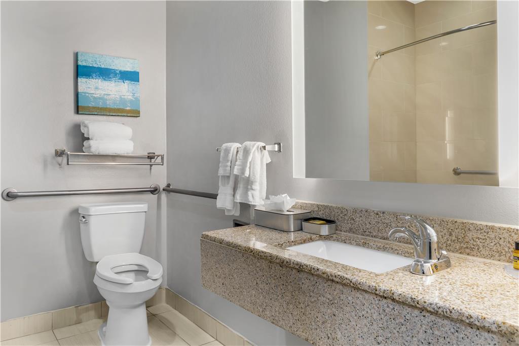 Best Western Plus Fort Worth Forest Hill Inn & Suites - photo 36