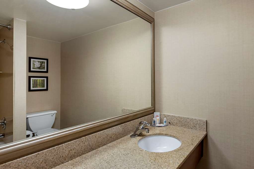 Comfort Inn Lansing West - photo 26
