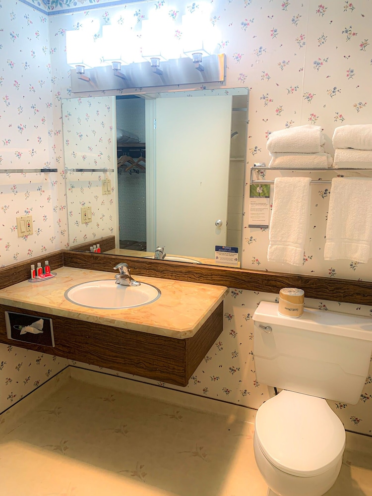 Econo Lodge Inn & Suites Winnemucca - photo 14