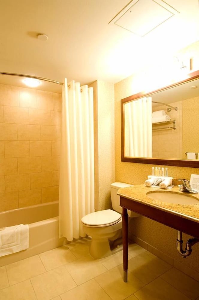 Rockville Centre Hotel JFK Airport - photo 17