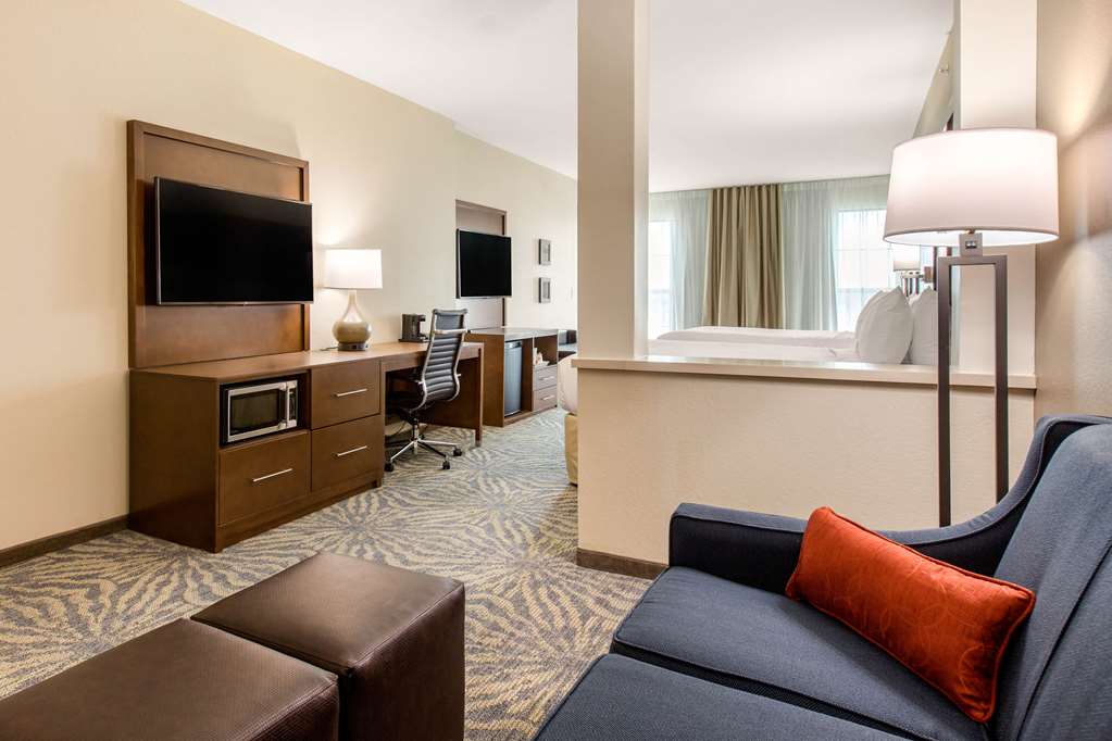Comfort Suites South Austin - photo 16