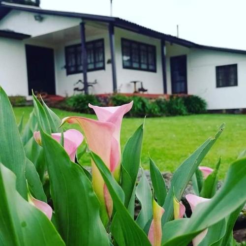 Pousada Morro Grande in Criciuma, Brasil