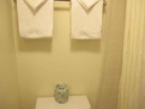 Maridel Motel - photo 16