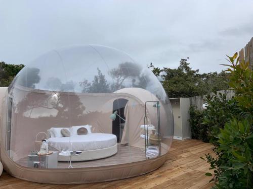 Bubble Room Tuscany - carbon neutral hotel in Bibbona