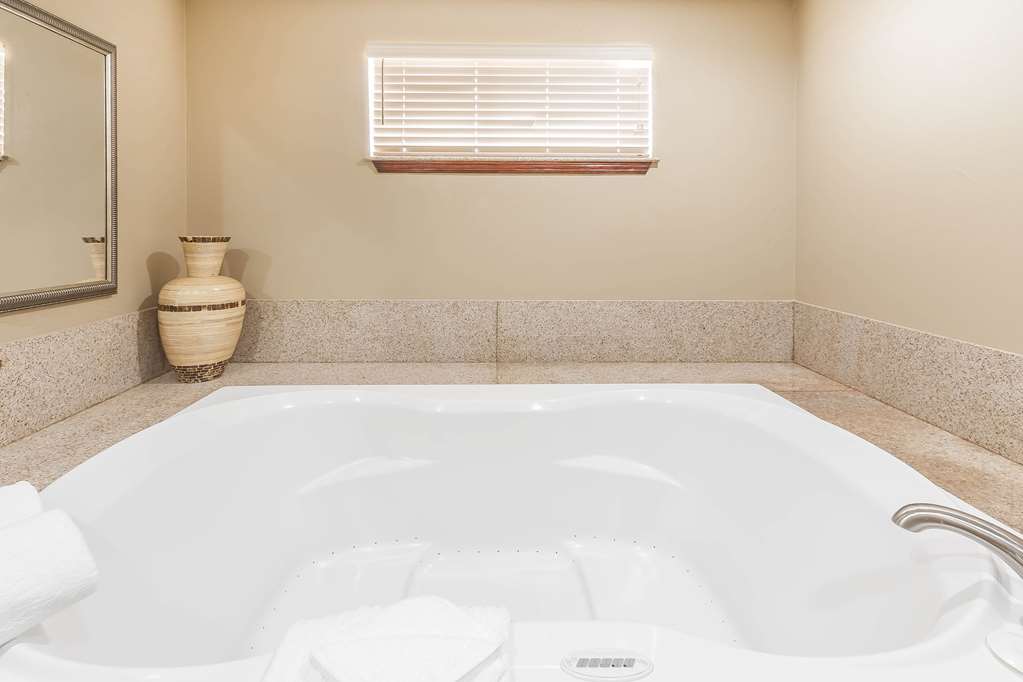 Comfort Suites Yukon SW Oklahoma City - photo 13