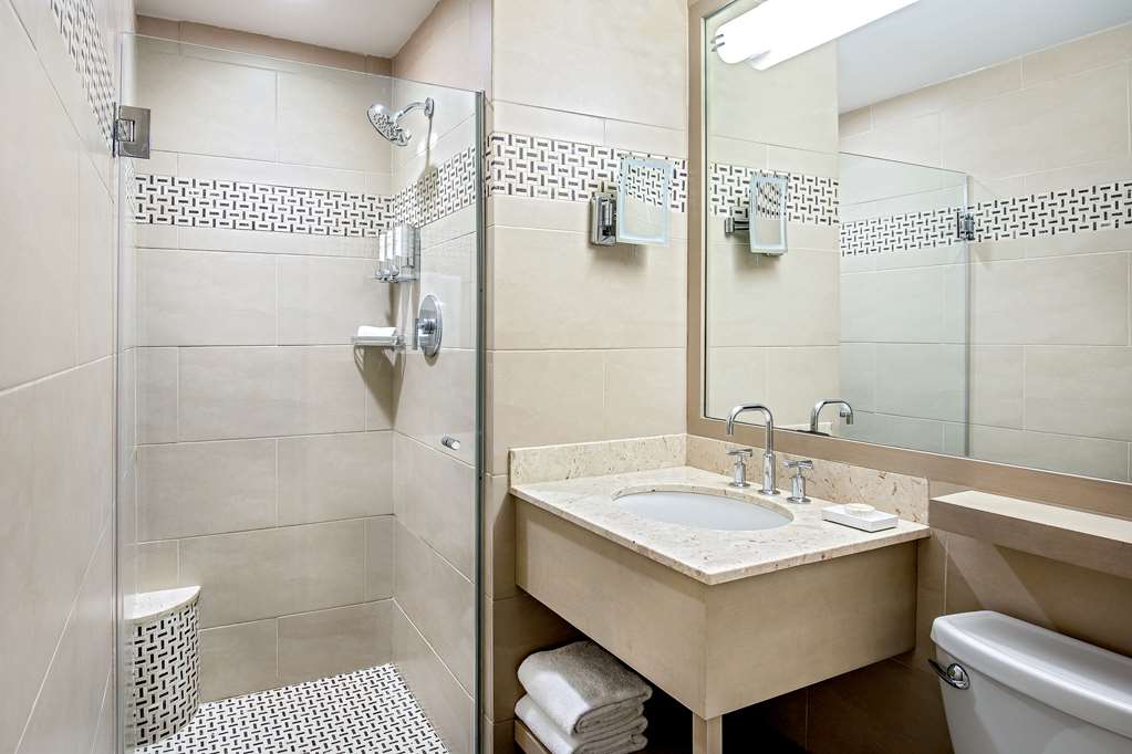 The Royal Sonesta Boston - photo 35