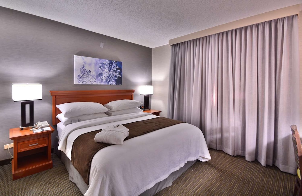 Embassy Suites by Hilton Denver Central Park - photo 14