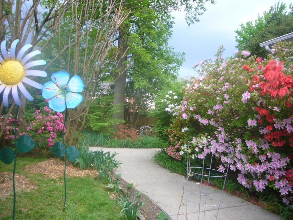 Blooming Garden Inn - photo 3