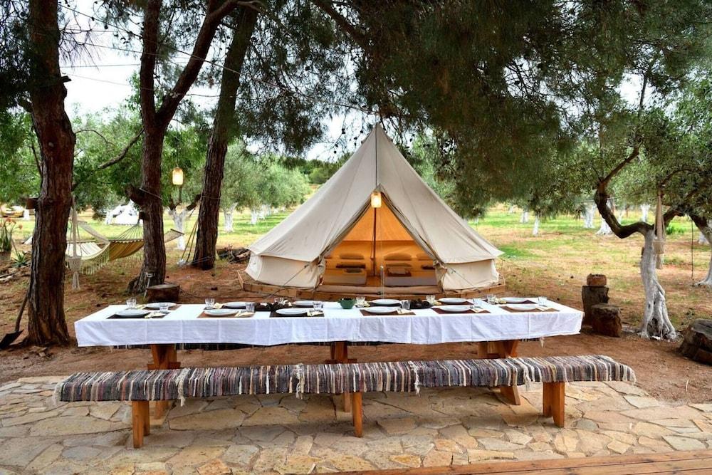 Cocoon Tent in an Olive Grove — 4-Star Luxury Hotel in Kyparissia, Greece