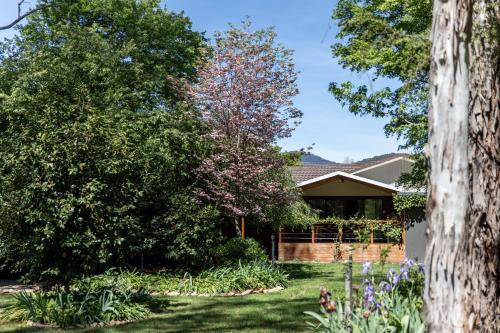 Nest House Bright — 4-Star Luxury Hotel in Bright, Australia
