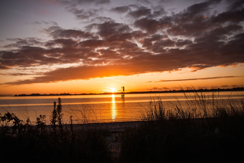 Bay Point Landing - photo 26