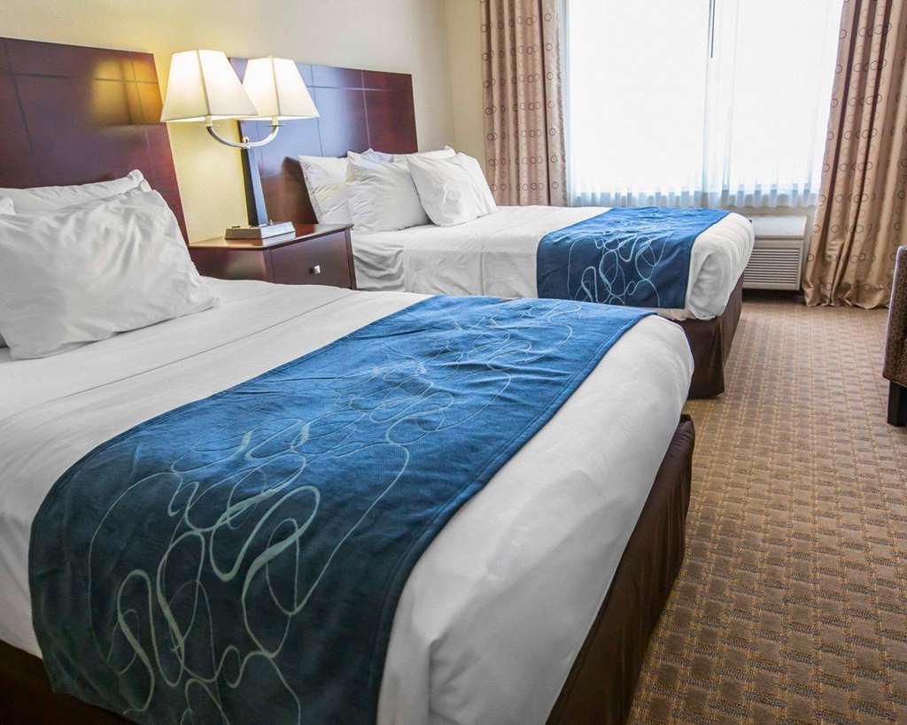 Comfort Suites University Area Notre Dame South Bend - photo 14