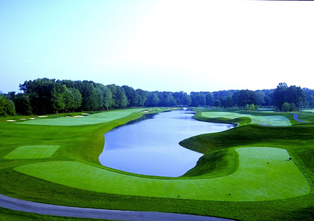 The Grand Resort - photo 65