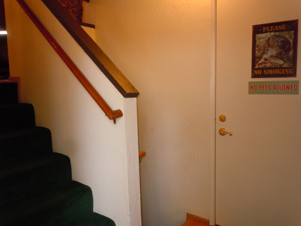 Escape For All Seasons - photo 259