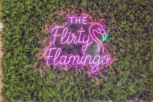 Flirty Flamingo — hotel in Homosassa