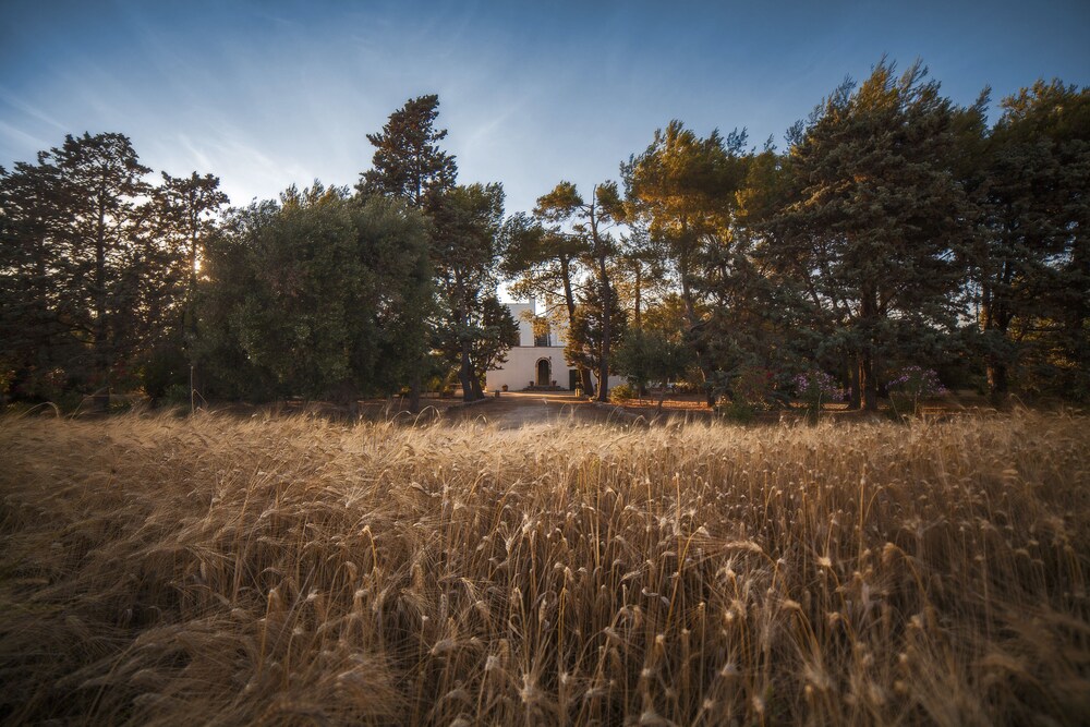 Masseria Fracchicchi — Galatina