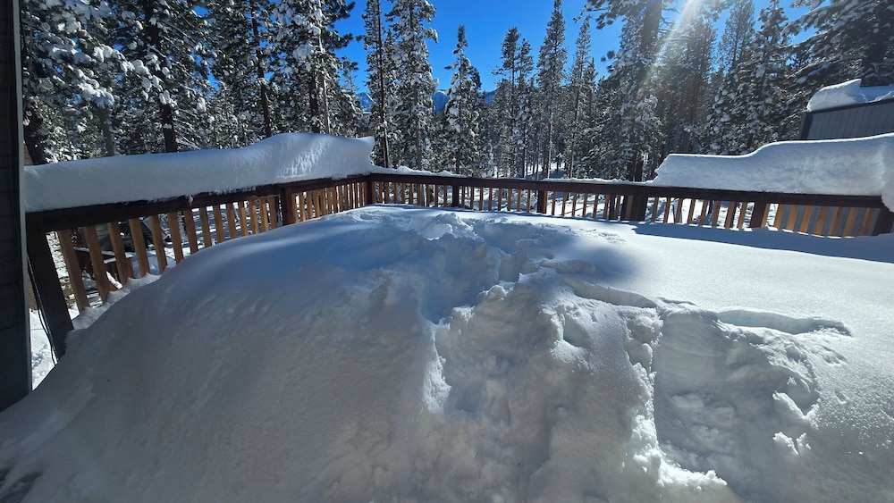 Cinnamon Bear Inn - photo 79