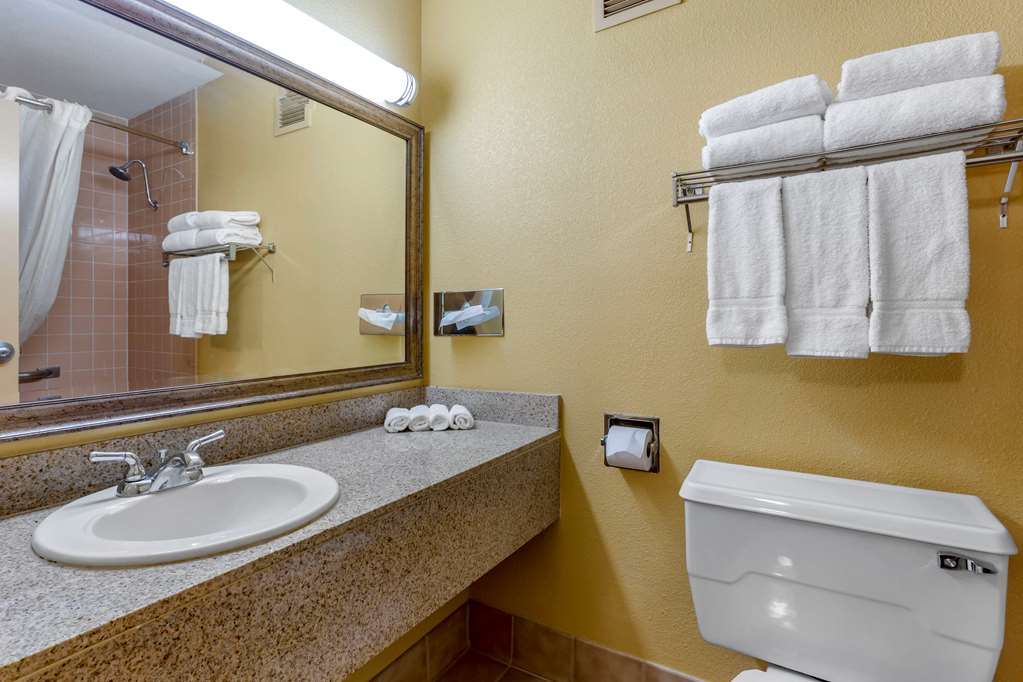 Clarion Inn and Suites Roswell NM - photo 18