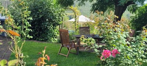 Weingut Raevenhof - carbon neutral hotel in Ayl