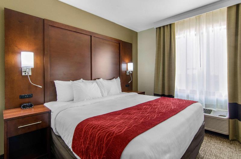 Comfort Inn & Suites Shawnee Kansas City - photo 43