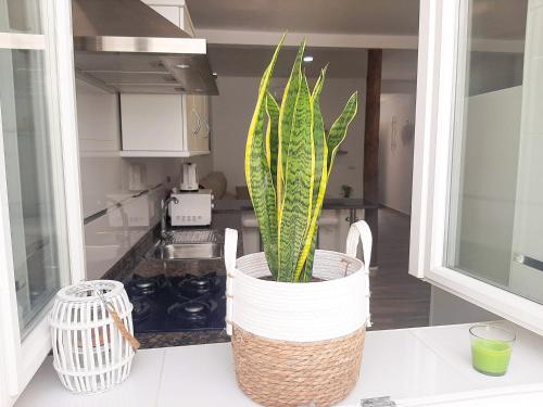 Casa Los Titos — Arriate — photo 5