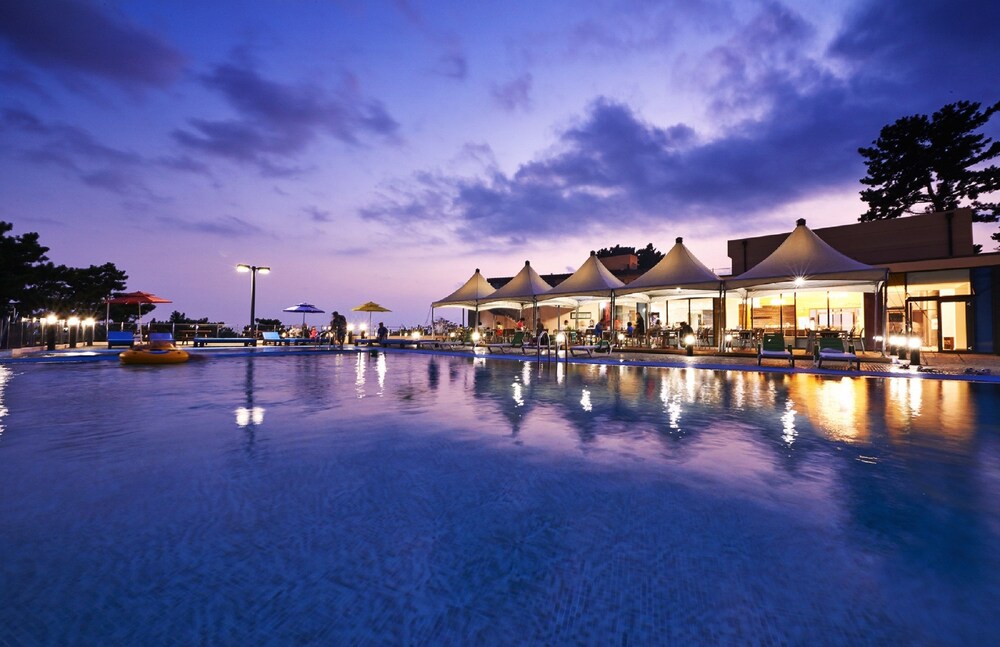 Dam & Roo in Seogwipo, South Korea