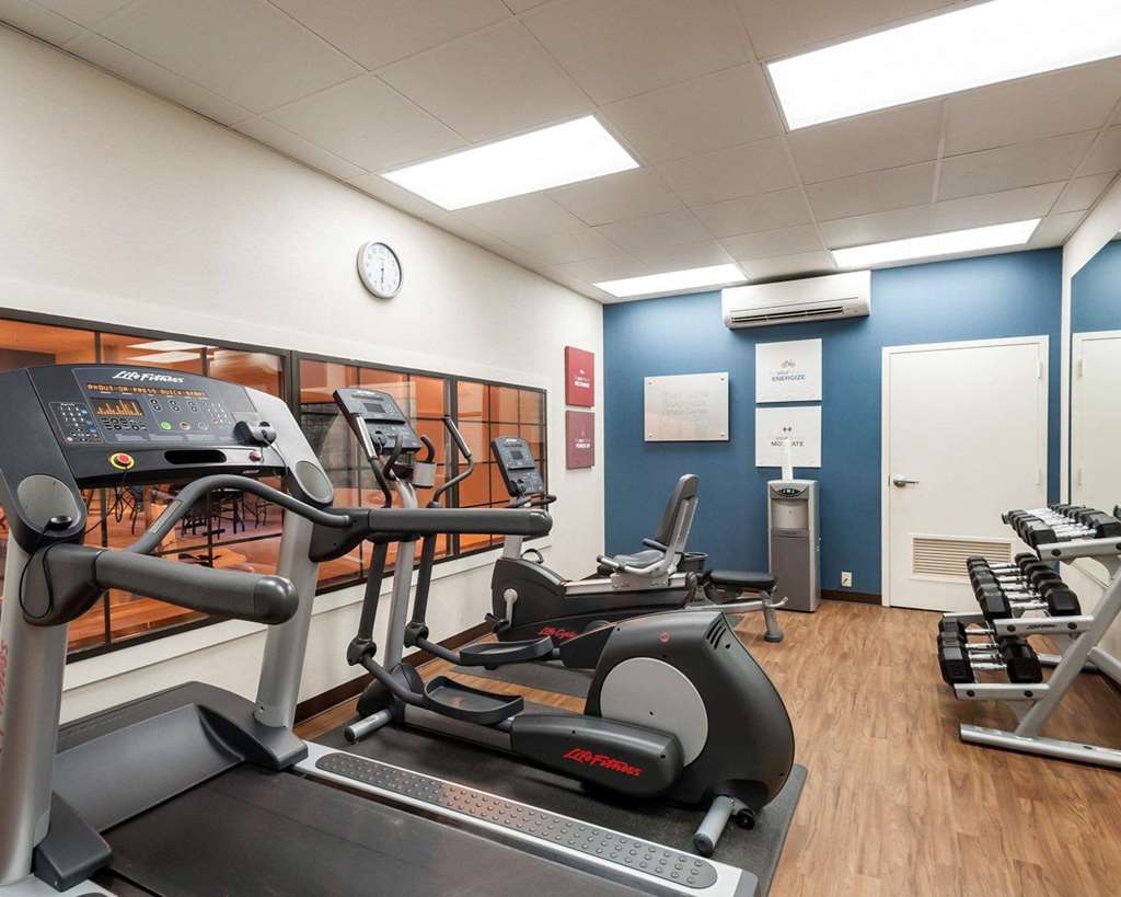 Comfort Suites Dulles Airport - photo 16