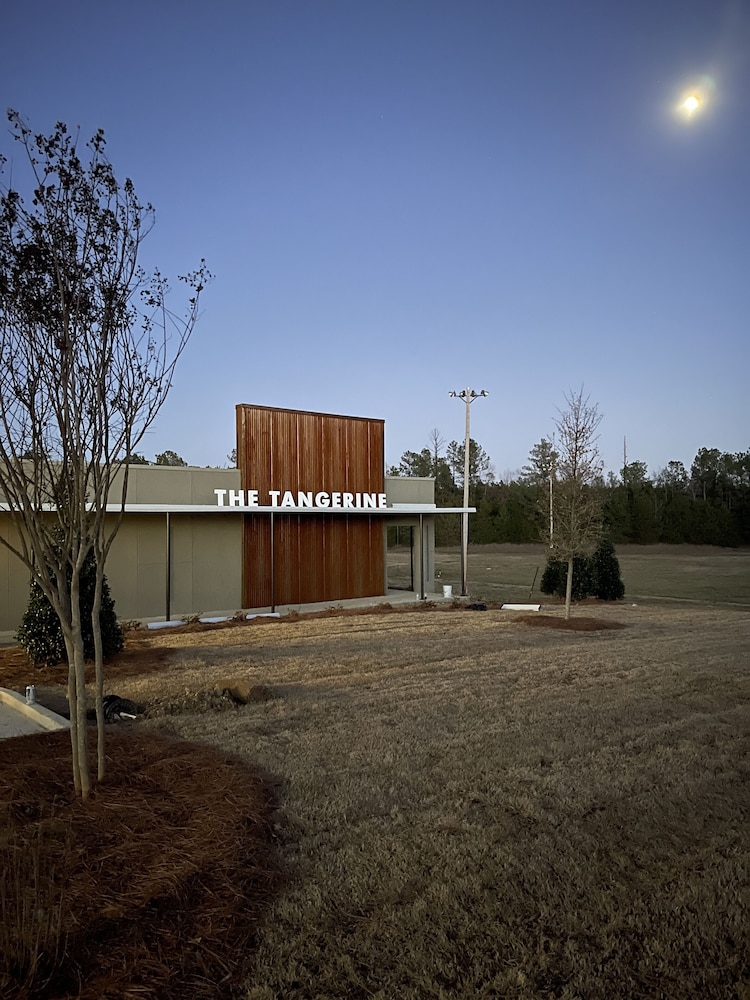 Tangerine Motel - photo 66