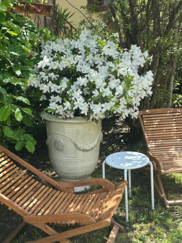 Elegante bilocale Elegant Double Room — Fiesole — photo 3