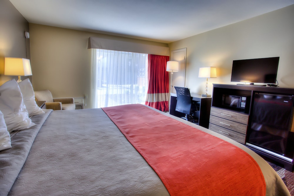 The Beaucatcher A Boutique Motel - photo 13