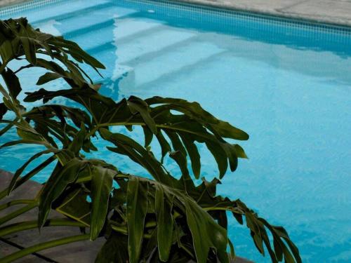 Quinta del Valle in Valle De Bravo, Mexico