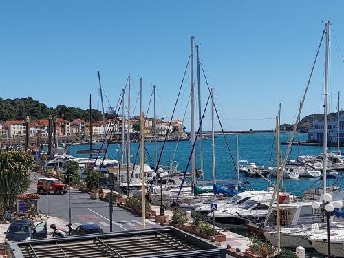 Port de Plaisance — hotel in Portvendres