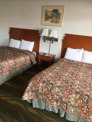 Moon Mist Motel - photo 8