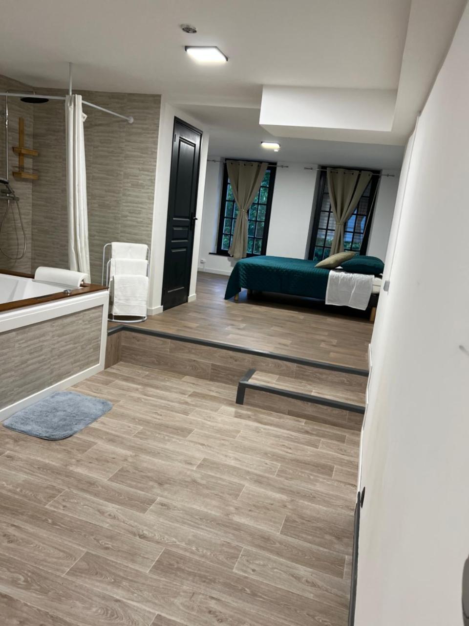 Magnifique Loft 35m2 Jacuzzi RVB NIGHT 1 in Amiens, France