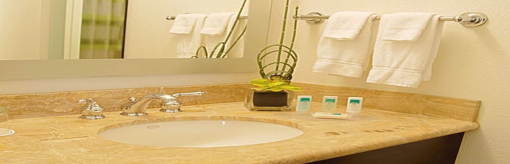 SpringHill Suites by Marriott Tampa Westshore Airport - photo 17