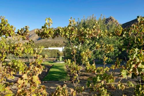 Great Heart Farm in Montagu, South Africa