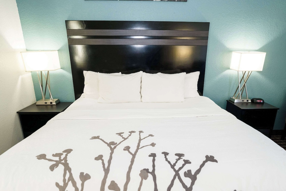 Sleep Inn & Suites Knoxville West - photo 30