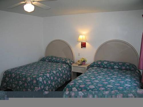 Apollo Resort Motel - photo 23