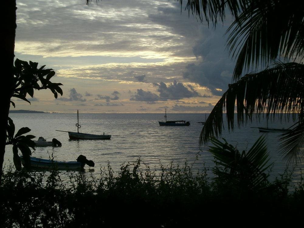 Baobab Beach Vilanculos — Unknown City — photo 3
