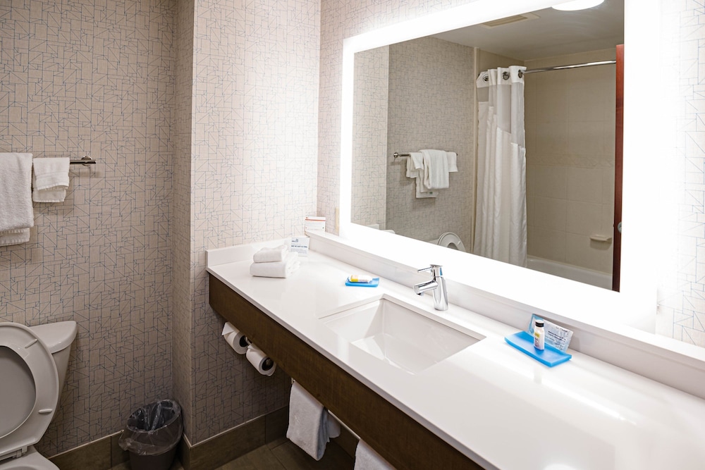 Holiday Inn Express & Suites Knoxville Farragut by IHG - photo 44