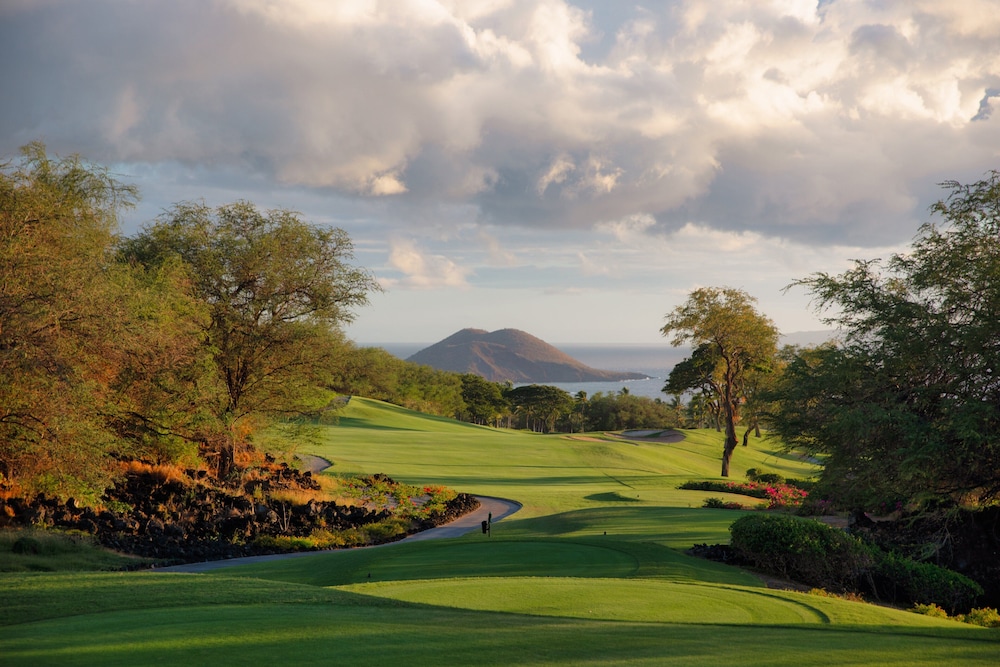 Four Seasons Resort Maui at Wailea - photo 106