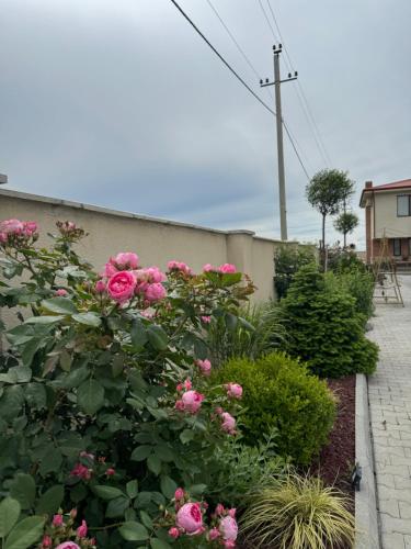 Royal Green Hotel