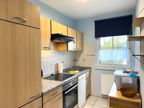 Albatros 1a in Dorum, Germany