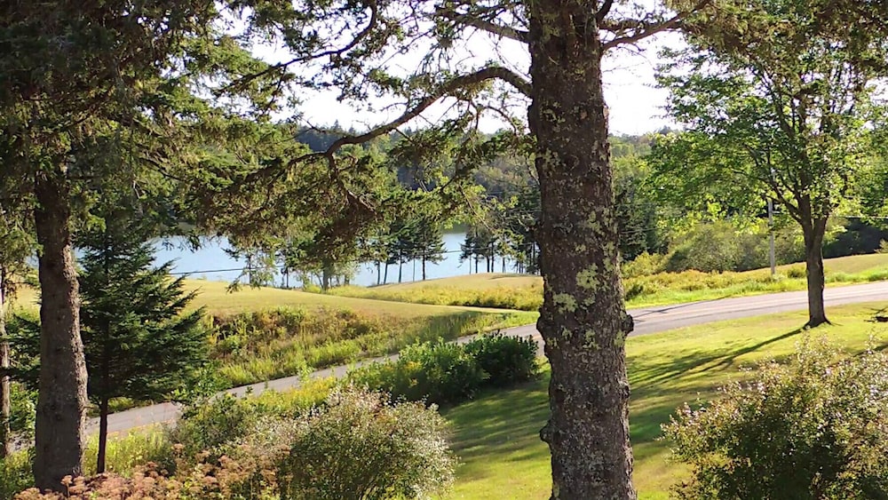 Chandler River Inn - photo 29